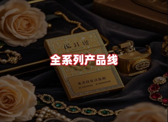专业团队